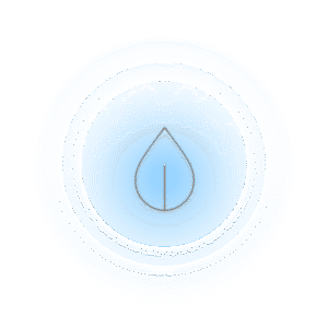 Essence